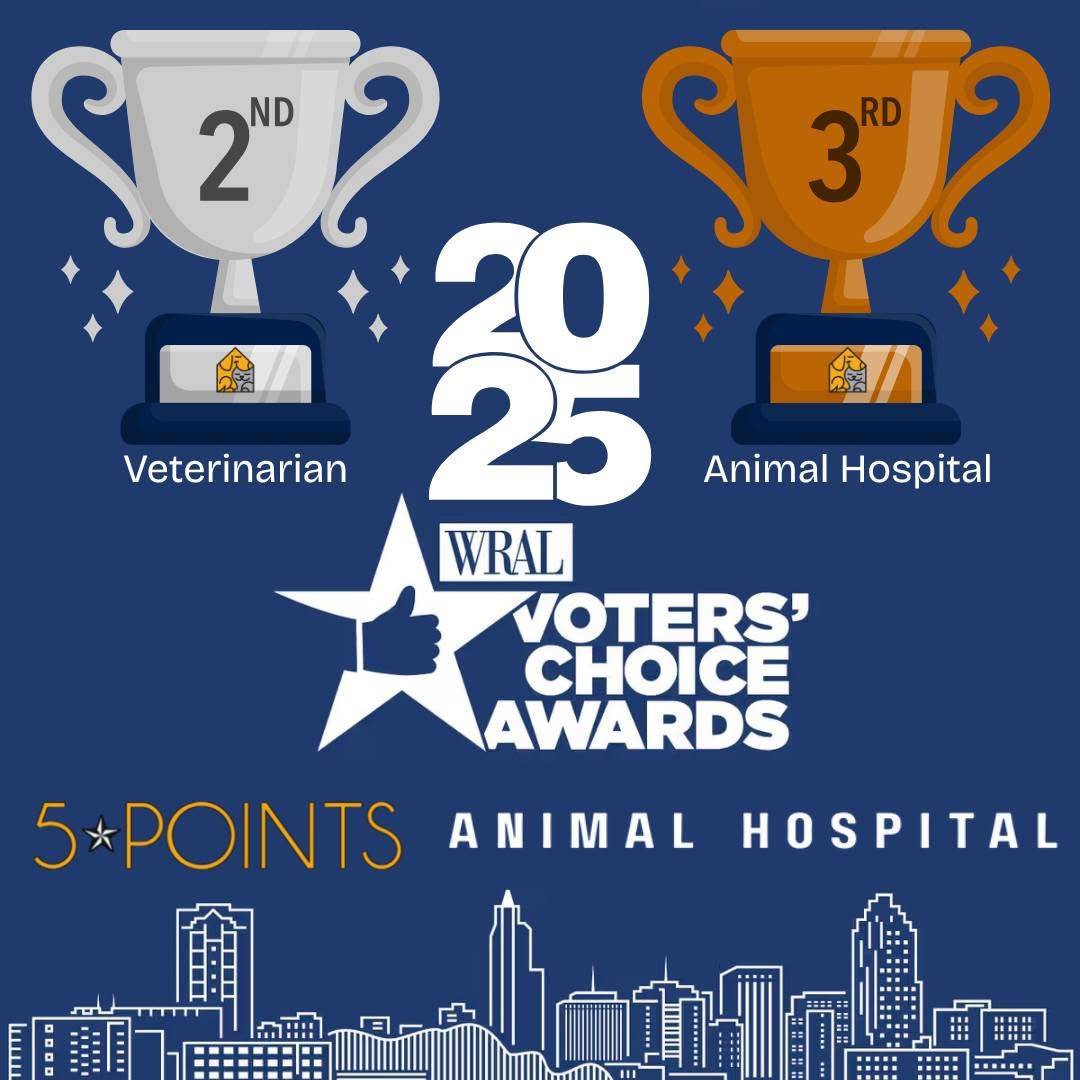 5-Points Animal Hospital WRAL Voters' Choice Award winner in Fuquay-Varina