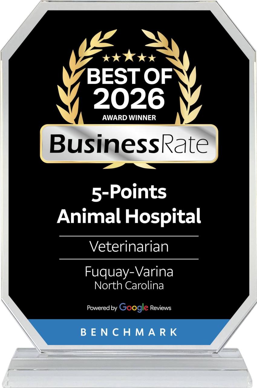 Business Rate Best of 2026 award for 5-Points Animal Hospital in Fuquay-Varina