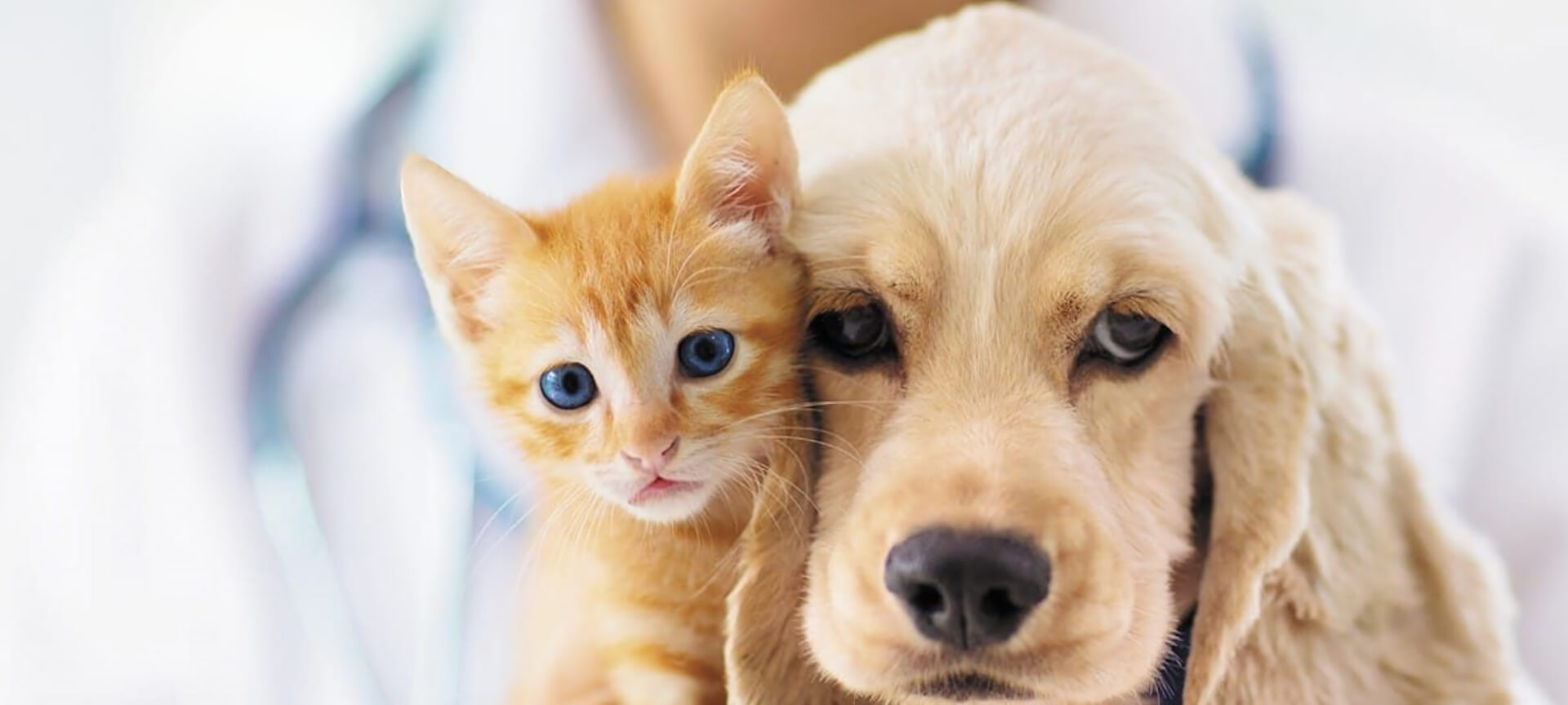 Fuquay Varina Veterinary Hospital