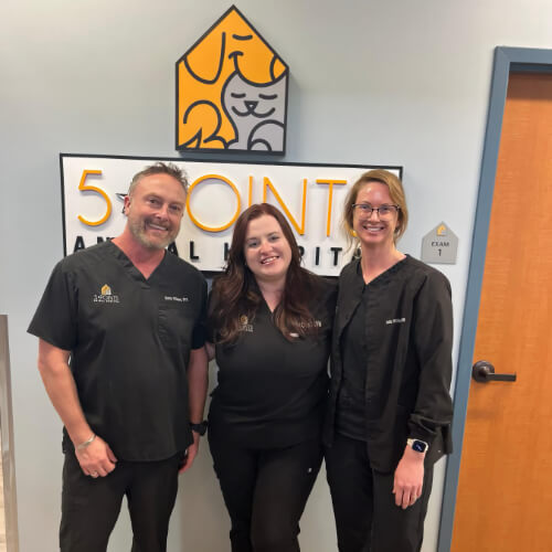 Veterinary Team